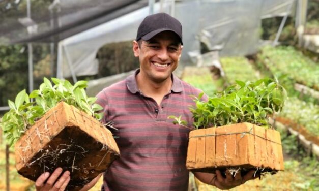 Ahora la autoridad ambiental busca reemplazar las bolsas plásticas por espuma fenólica para la siembra de cultivos