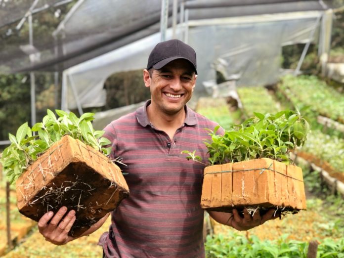 Ahora la autoridad ambiental busca reemplazar las bolsas plásticas por espuma fenólica para la siembra de cultivos Ahora la autoridad ambiental busca reemplazar las bolsas plásticas por espuma fenólica para la siembra de cultivos