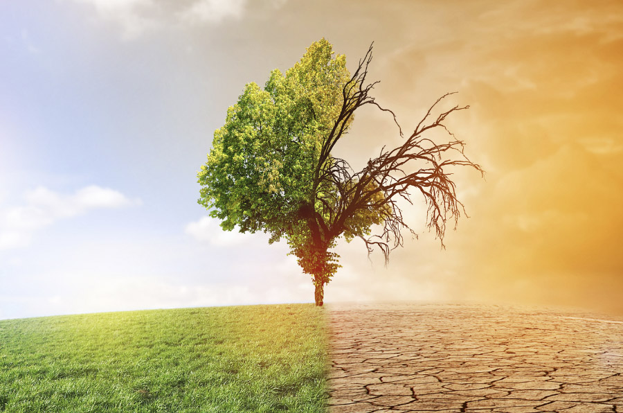 Debido al cambio climático, la Gobernación crea estrategias para proteger la salud de los ciudadanos