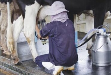 Nuevas estrategias para Entrerríos en el sector lácteo