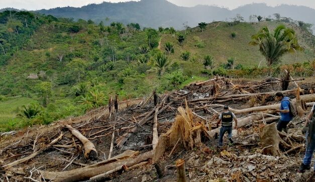 En El Oriente antioqueño buscan combatir los delitos ambientales