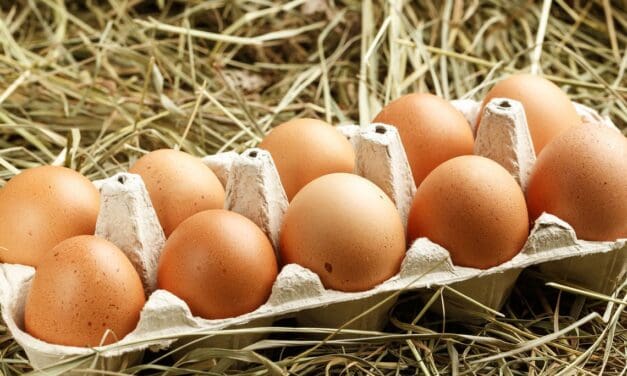 Aumento de precios en huevo y pollo no se debe a desabastecimiento