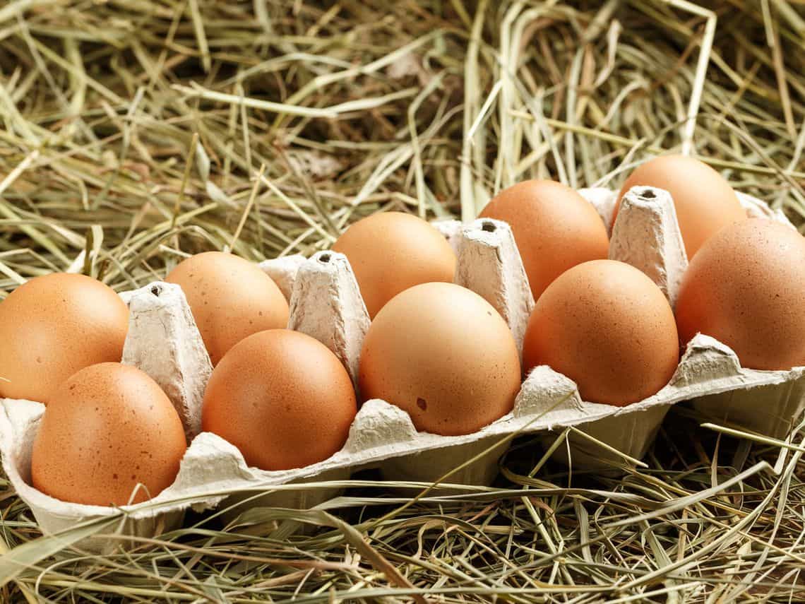 huevos_1