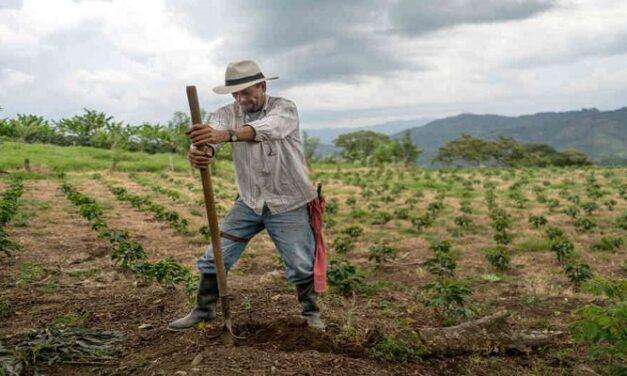 Antioquia fortalecerá el sector agropecuario