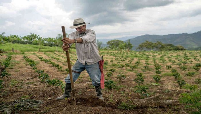 Antioquia fortalecerá el sector agropecuario