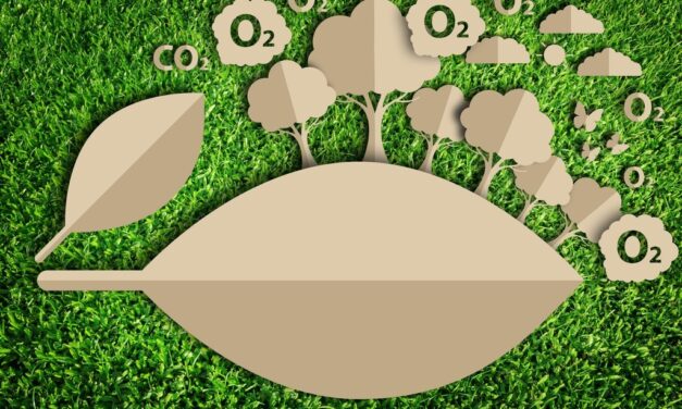 Campaña para reducir la huella de carbono en Girardota