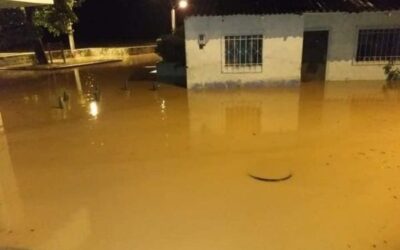 Desbordamiento del río Nechí dejó afectaciones en Zaragoza