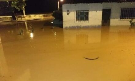 Desbordamiento del río Nechí dejó afectaciones en Zaragoza