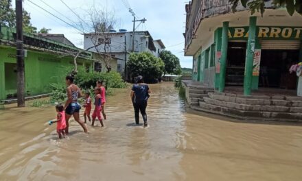 Las inundaciones en Nechí dejaron a más de 100 familias afectadas