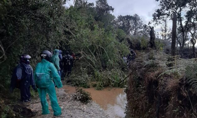 Reportan perdidas de cultivos por ola invernal en San Vicente