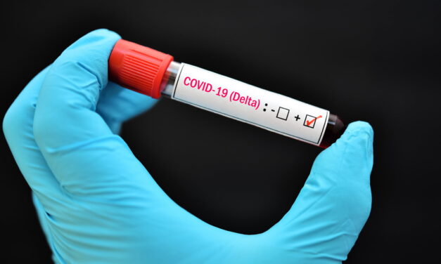 Confirman circulación de la variante Delta en Segovia