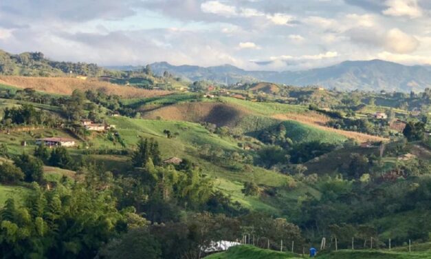 El Oriente cuenta con algunos municipios que tienen el metro cuadrado más costoso de Colombia