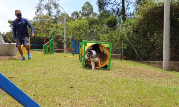 Primer parque perruno en Rionegro