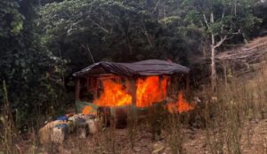 Oriente antioqueño y cocaína 1607282396 776229 1607282576 noticia normal