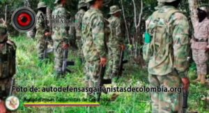 Informe especial: De norte a sur y de oriente a occidente: así crecieron los cultivos de coca en Antioquia AGC 1024x555 1