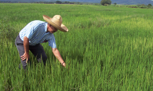 Talleres «El campo que soñamos” en Antioquia
