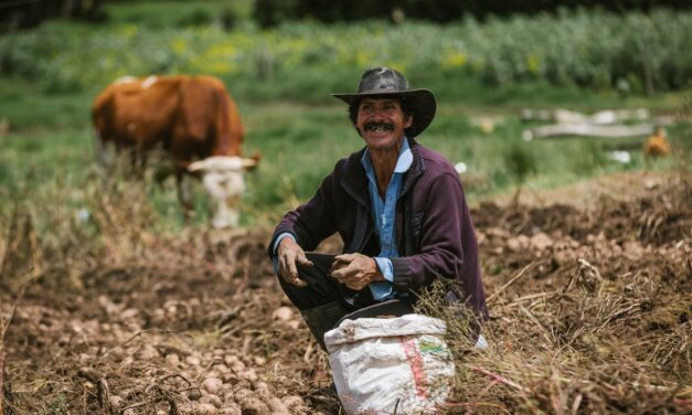 Los campesinos de Antioquia siguen soñando con un futuro próspero