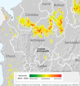 Informe especial: De norte a sur y de oriente a occidente: así crecieron los cultivos de coca en Antioquia IMG 20210901 WA00341
