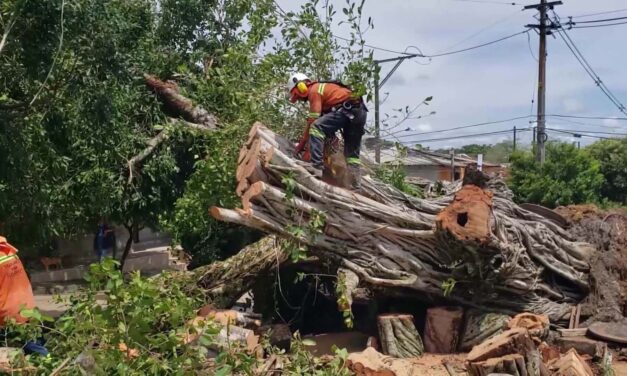 La lluvia dejó damnificados en Caucasia