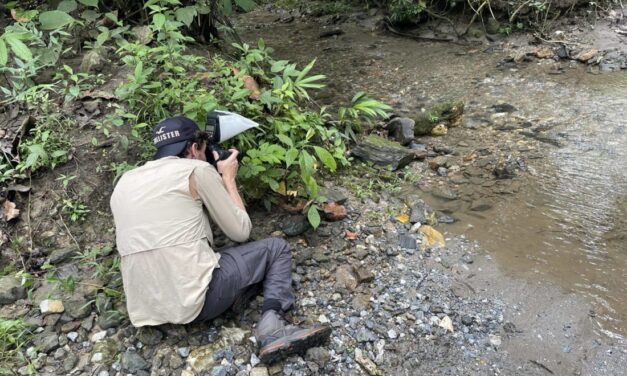 En El Oriente se está construyendo la primera guía de mariposas
