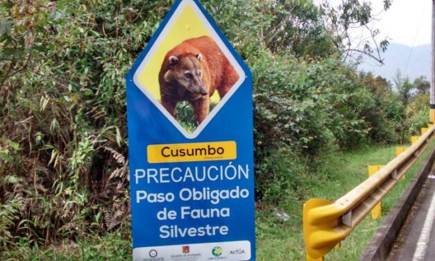 En El Oriente refuerzan campaña de sensibilización para evitar más casos de atropellamiento de animales
