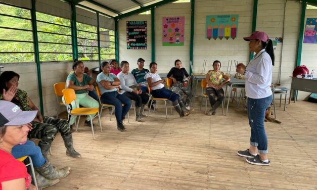 En Valdivia se implementa estrategias para dar cumplimiento a la educación escolar
