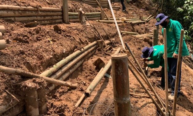 Proyecto soluciones basadas en la naturaleza