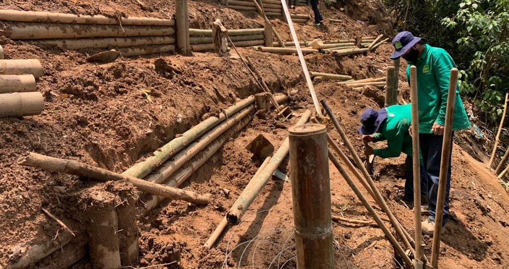 Proyecto soluciones basadas en la naturaleza