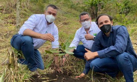 La ANDI sembrará 5 mil árboles en Marinilla