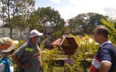 Nuevo hotel para abejas solitarias en La Estrella