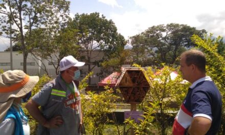 Nuevo hotel para abejas solitarias en La Estrella