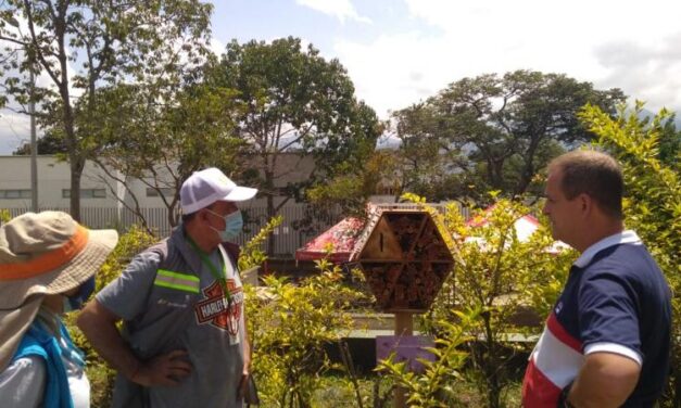 Nuevo hotel para abejas solitarias en La Estrella