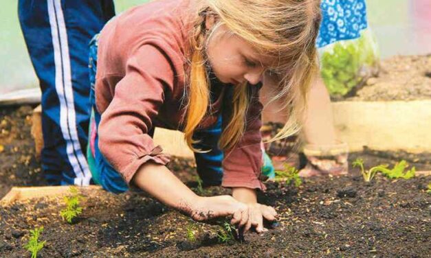 En Rionegro se realizó el primer seminario internacional de primera infancia