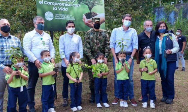 El Oriente aportó más de un millón de árboles en la Gran Sembratón Nacional