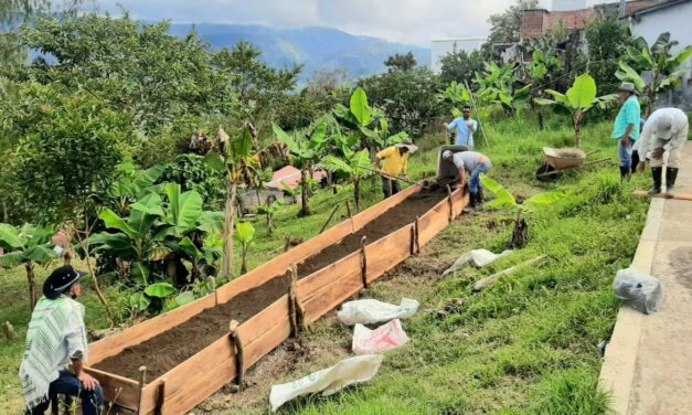 Construyen germinador comunitario en Cañasgordas