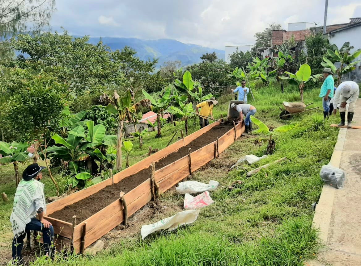 Construyen germinador comunitario en Cañasgordas