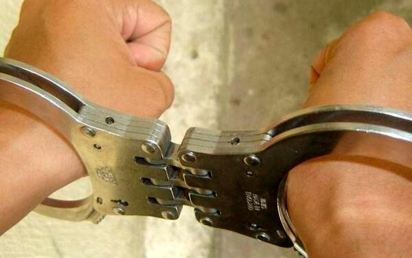 En Antioquia envían tres hombres a la cárcel por maltrato animal