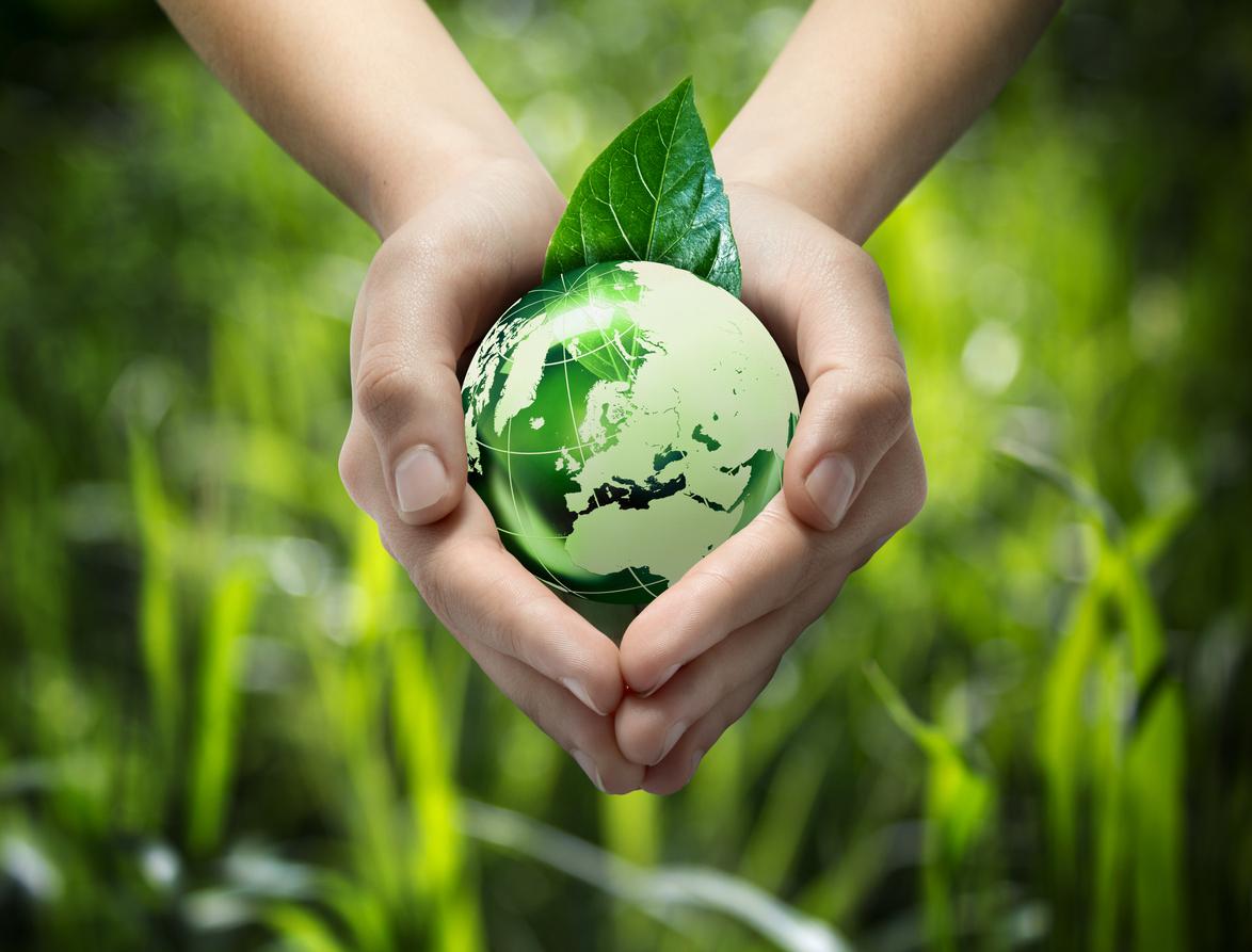 la_importancia_del_medio_ambiente_2972_orig