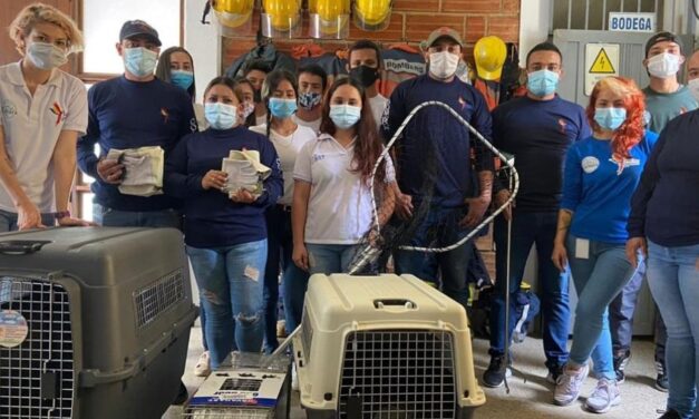 Más de 800 personas se han capacitado en protección de fauna