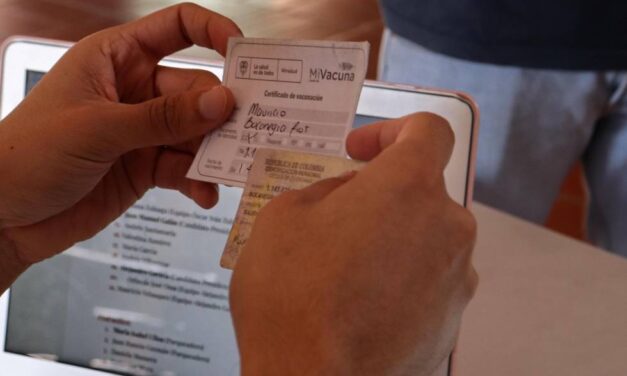 Desde el 14 de diciembre se deberá presentar carné de vacunación para entrar al país