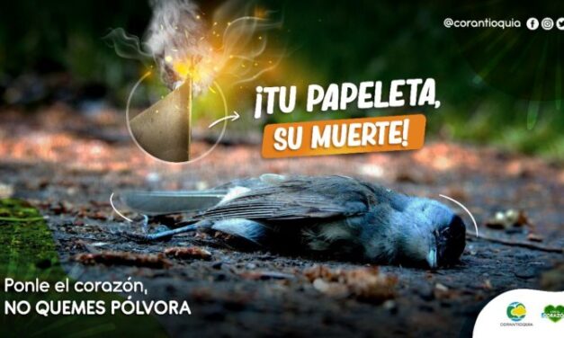 “Tu pólvora, su muerte”: mensaje de Corantioquia