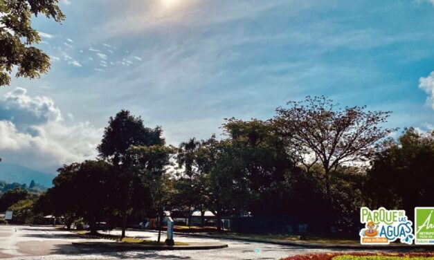 Disfruta del sol en Barbosa