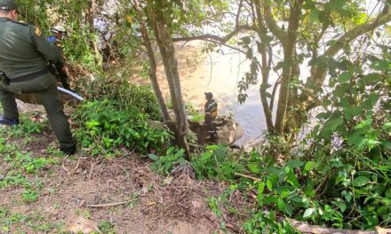 Organismos buscan a una familia chocoana que cayó al río Cauca en el sector El Cangrejo del municipio de Betulia