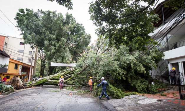 El DAGRD indica recomendaciones para el inicio de la temporada de menos lluvia