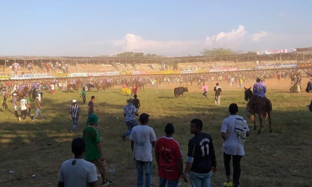 Gobernación exigió a las autoridades de Caucasia entregar un balance de lo ocurrido durante las corralejas