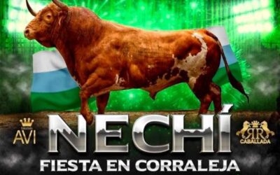 En Nechí cancelan las corralejas que estaban programadas del 19 al 23 de enero