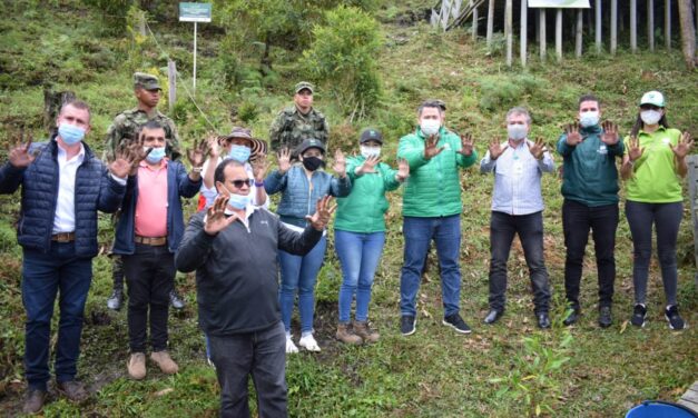 Con la siembra de 8.800 árboles nativos, Bioexpo compensa su huella de carbono