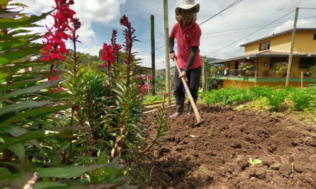 La Alcaldía de Medellín busca a los productores de la ciudad para que hagan parte del nuevo modelo de Agricultura 4.0