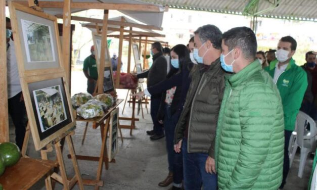 18 empresas del Oriente antioqueño participarán de la feria de turismo de talla internacional