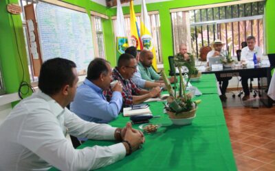En Consejo de Seguridad subregional en el Nordeste antioqueño se implementarán acciones para contrarrestar el homicidio